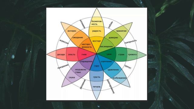 Эмоциональный интеллект и виды эмоций
