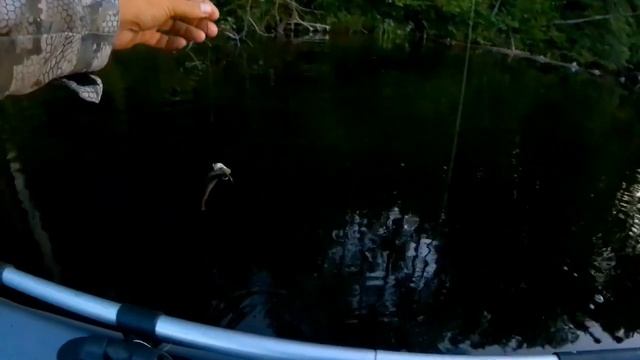 щука на самодельные кружки Рыбалка,Fishing ,кемпинг, отдых. спиннинг, джиг, поплавок, удочка, смотреть онлайн