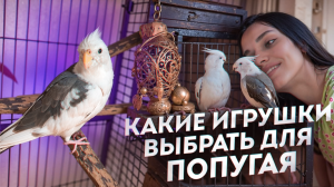 КАКИЕ ИГРУШКИ ВЫБРАТЬ ДЛЯ ПОПУГАЯ