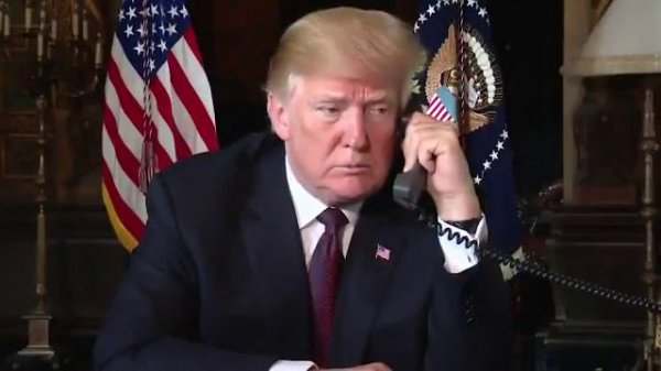 Трамп и гармонь 🪗