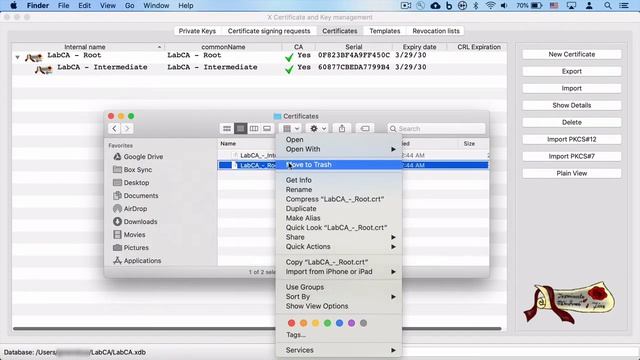 Create Your Own Certificate Authority with XCA смотреть онлайн