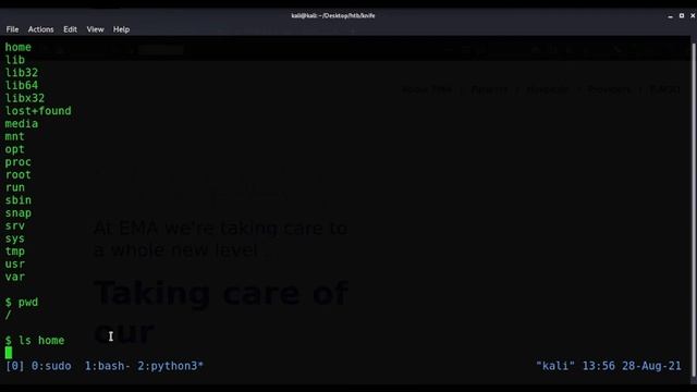 HackTheBox - Knife смотреть онлайн