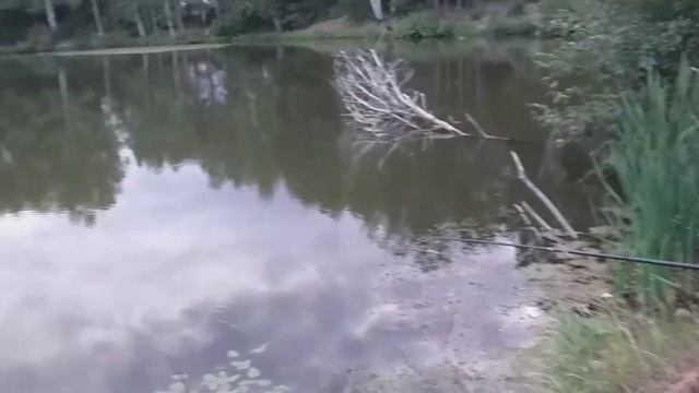 рыбалка в Кировской области 2021 смотреть онлайн