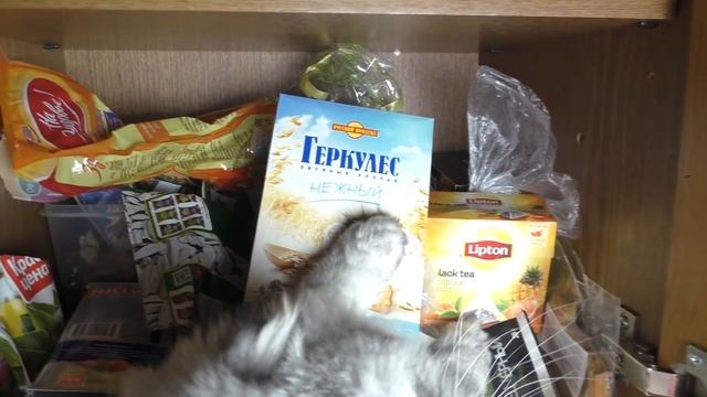 Короче говоря, Кева приготовил кашу