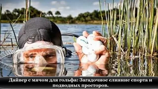 ?ТОП-10 САМЫХ удивительных и странных профессий с заманчивой зарплатой. смотреть онлайн