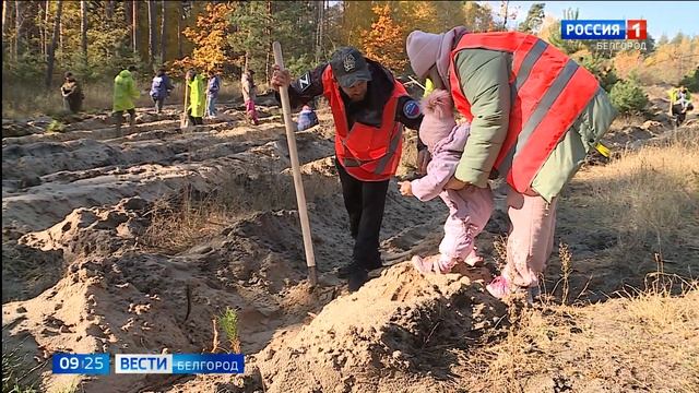 Белгородцы присоединились ко Всероссийской акции "Живи, лес!" смотреть онлайн