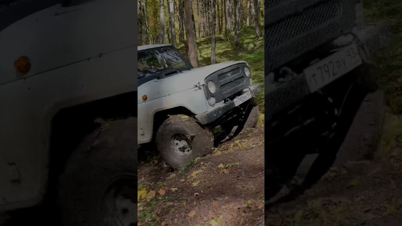 Гизла Абхазия #оффроад #дрова #горы