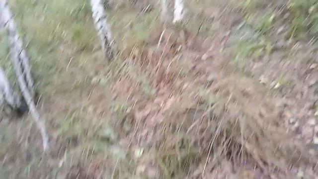 КТО СО МНОЙ ЗА ГРИБАМИ?!!!!! смотреть онлайн