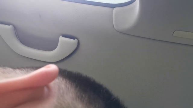 молится или загадывать желания гаду? смотреть онлайн