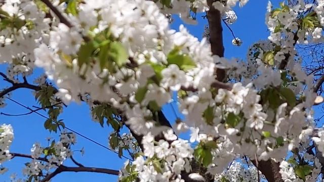 30 июня праздник. Мануйло и Савелий. Ярило. Что нельзя делать. Народные традиции и приметы смотреть онлайн