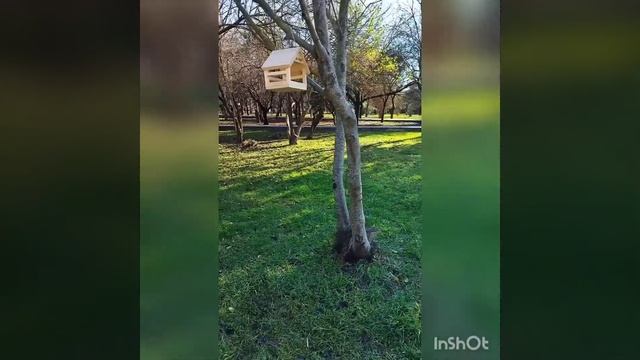 красоты парка: новая кормушка для птиц, водопады, речка смотреть онлайн