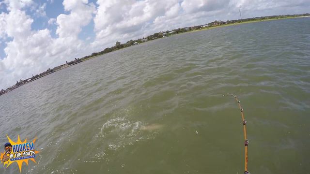 REDFISH SPAWN IS NUTTY! ft.North Florida Angler SHAPESHIFTING SHARKS! The BULL REDS ARE RUNNING! смотреть онлайн