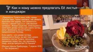 Поклонение Туласи. Шастры о Туласи. Древесина Туласи (занятие 9)