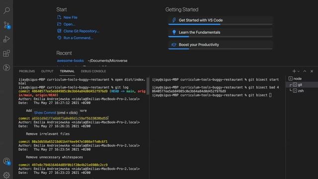 Debugging with git bisect. смотреть онлайн