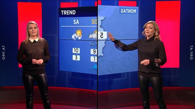 Wetlook Leather Legging Patricia Lipburger Rehm 20191219