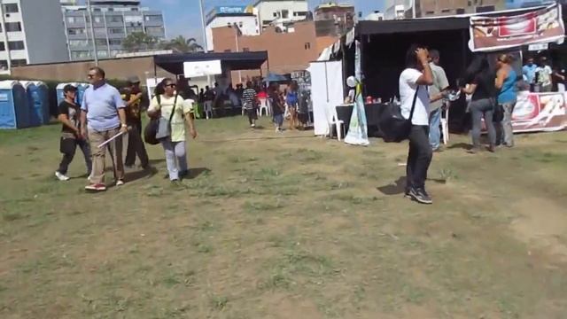 Pop Corn Festival 2015: buscando una sombra смотреть онлайн