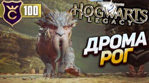 ДРОМАРОГ! Hogwarts Legacy #100