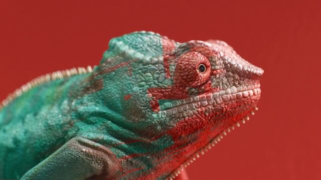 Ballu Boho. Примерь свой цвет!