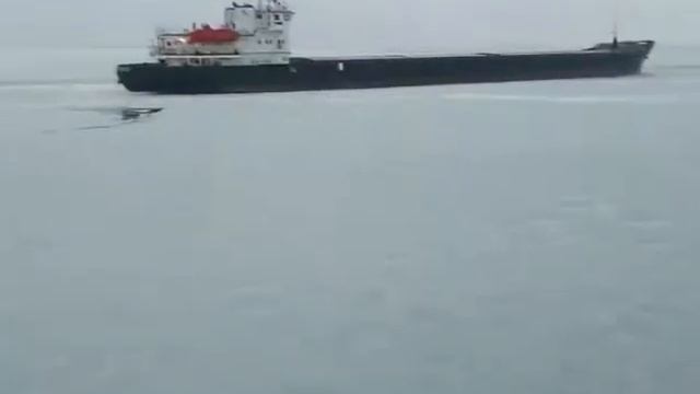 Азовское море смотреть онлайн