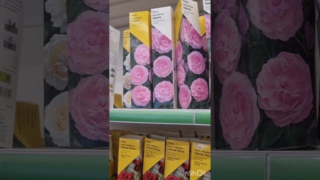 Леруа Мерлен открыл сезон для садоводов 2023 смотреть онлайн