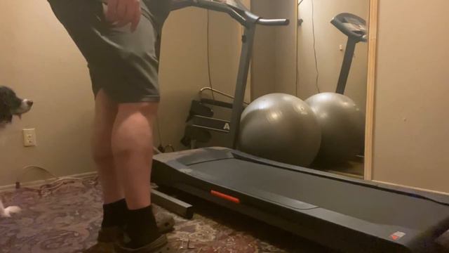 Why Did My Treadmill Stop Working? Burning Smell? / Try Lubricating The Belt With Oil!