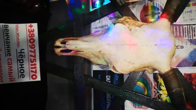 Приворот в Барнауле смотреть онлайн