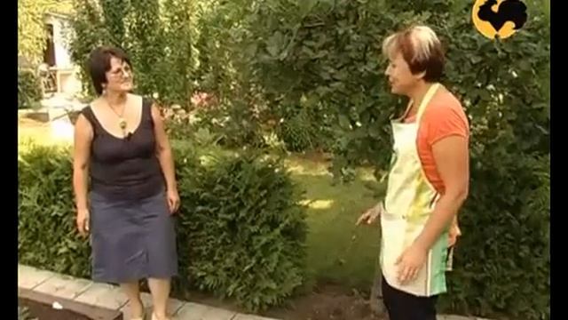 Плодовые деревья и кустарники смотреть онлайн