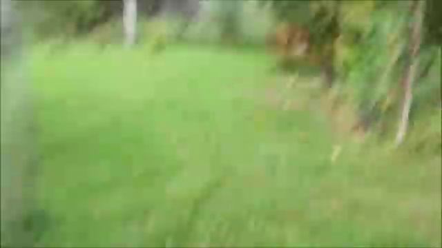 Наша дача: созрели арбузы. лето 2015 года смотреть онлайн