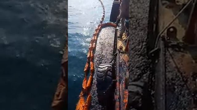 Fairdeal OSRC collision Incident between MT Viviana & MV Jimey Shunhao Fujairah Nov 2019 48 смотреть онлайн