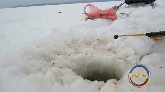 Icefish  Рыбалка на Выборгском заливе