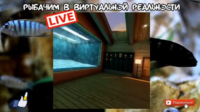 Прямая трансляция виртуальная реальность ? СИМУЛЯТОР РЫБАЛКИ смотреть онлайн