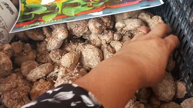 Заказной гулларимиз смотреть онлайн
