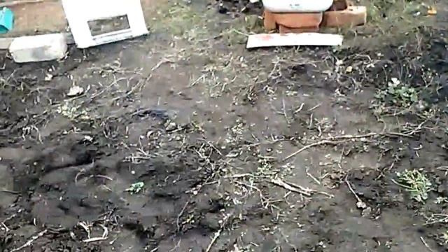 шашлык по-ташкентски.картошка в суперсковороде и курочка копчененькая))) смотреть онлайн