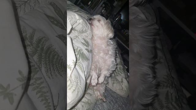 머리만 겨우 편한 상태 смотреть онлайн