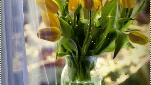 Пока Земля еще вертится смотреть онлайн