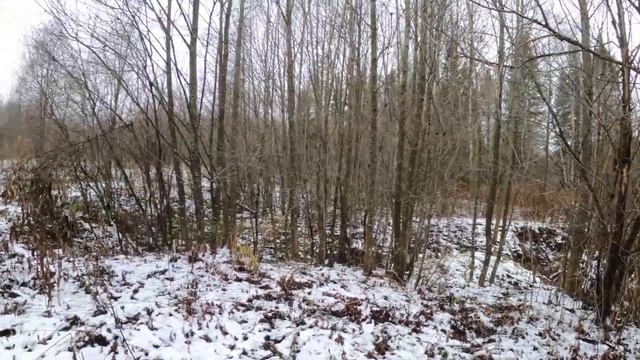 Сломалась машина. Уехал за металлом в заброшенную деревню. смотреть онлайн