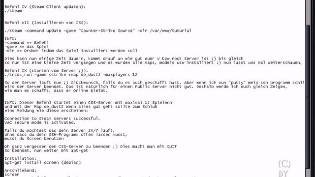 CSS Server installieren auf V bzw Root Server смотреть онлайн