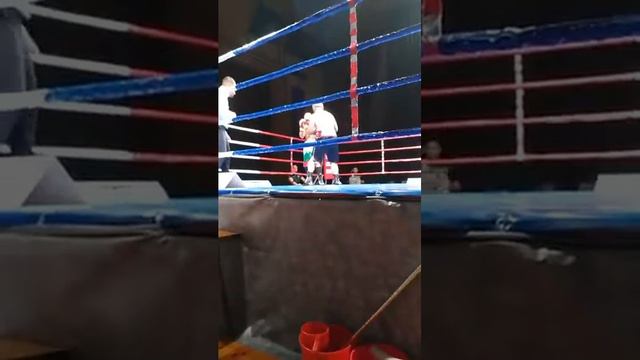 Ivan Nikolov vs Tzvetozar Iliev 2 raund смотреть онлайн