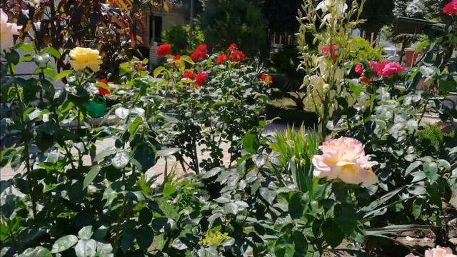 Цены на жильё в Крыму Частный сектор Бюджетный отдых в посёлке Черноморское сегодня смотреть онлайн