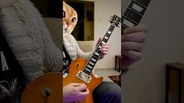 AC⚡️DC - Back In Black гитарное соло смотреть онлайн