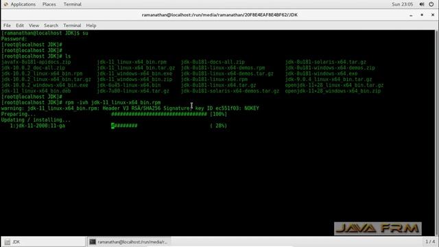 Oracle JDK 11 RPM Installation on CentOS 7.5 without removing OpenJDK смотреть онлайн