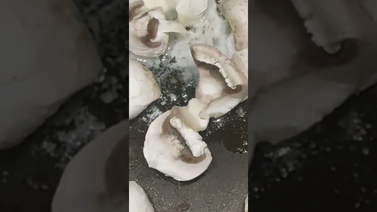 10 декабря 2023 г. смотреть онлайн