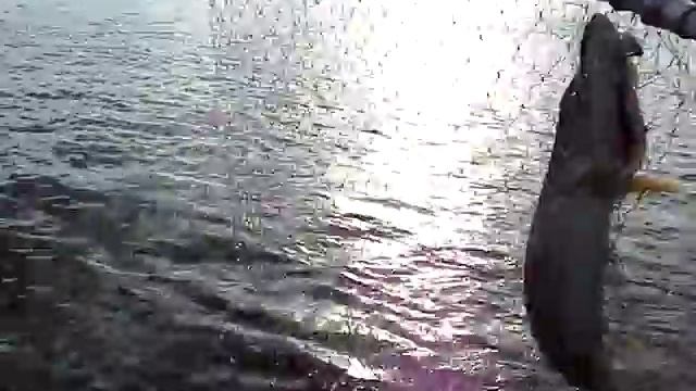 Рыбалка в с. Окшово смотреть онлайн