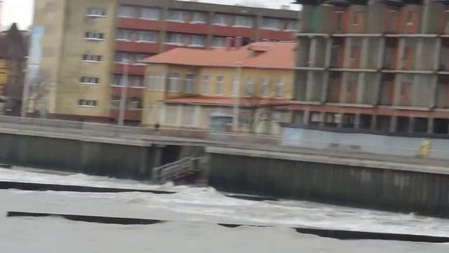 Новогодние Зайцы смотреть онлайн