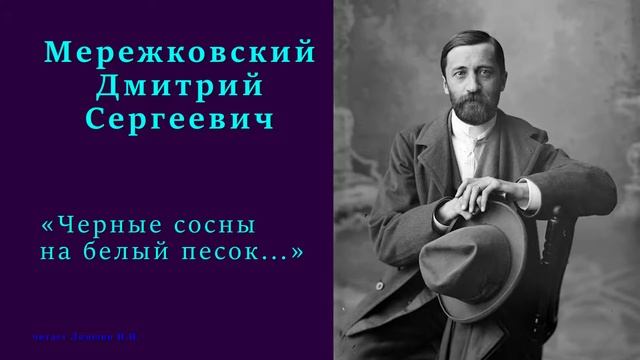 Дмитрий Мережковский — «Черные сосны на белый песок...» смотреть онлайн