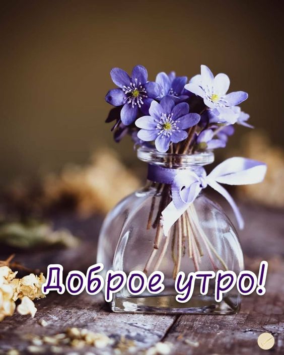 Оригинальное Пожелание Доброго Утра!