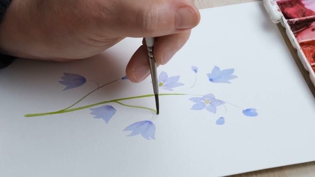 Easy Spring Flowers: Paint A Watercolour Campanula