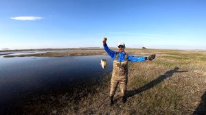 Рогатка для рыбалки или как мы настреляли карасямб! Рыбалка 2020  Рыбалка с рогаткой и дротиками