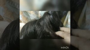Long Hair Bun Play, Hairjob ?