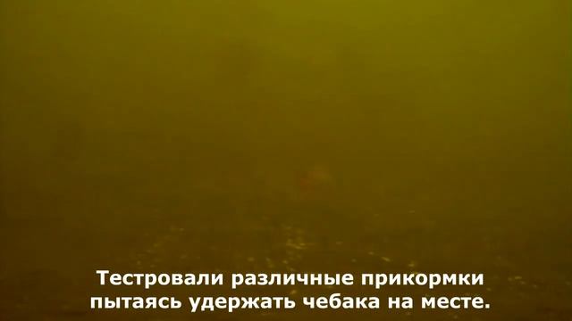 Зарисовки про чебака 2017-2018год смотреть онлайн